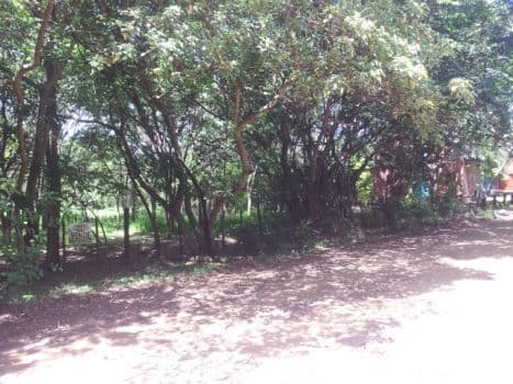 Pejerrey esquina manguruyú 00 - Weekend Inmobiliaria - 1