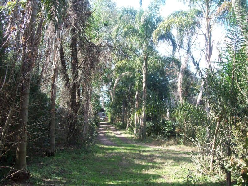 VENDO CASA QUINTA SOBRE EL RÍO CORONDA - Inmobiliaria Zucco - 1