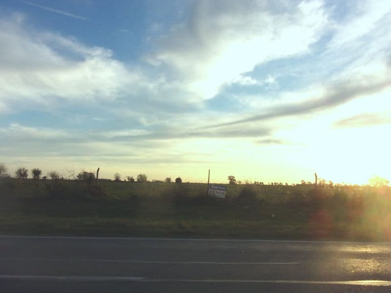 EN VENTA 8 HECTAREAS DE CAMPO - BARRANCAS - Inmobiliaria Zucco - 1