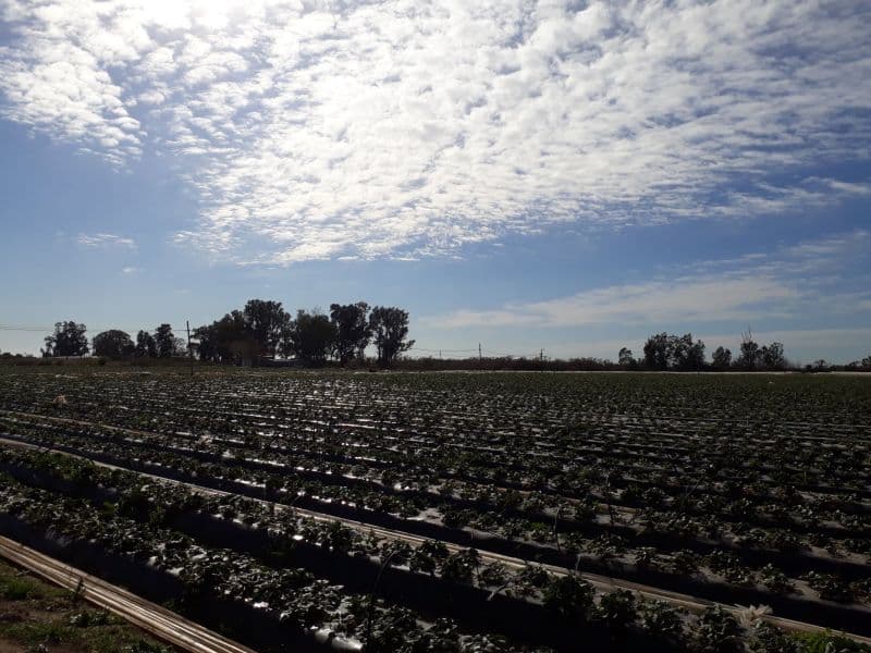 Quinta en Venta - 42Hectáreas sobre el río Coronda - Inmobiliaria Zucco - 1