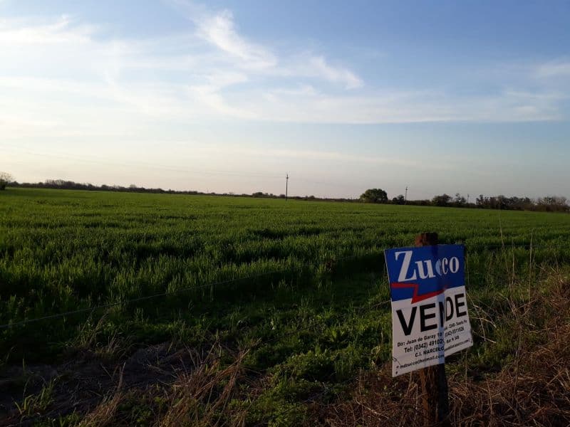 En Venta 17 hectáreas con casa y galpón - Sobre RN nº 11 - Inmobiliaria Zucco - 1