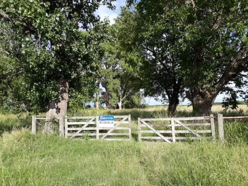 CAMPO EN ALQUILER - CORONDA - Inmobiliaria Zucco - 1