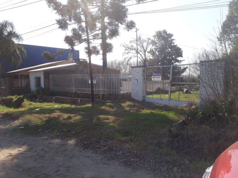 Av. Lisandro de la Torre 1100 - Inmobiliaria Zucco - 1