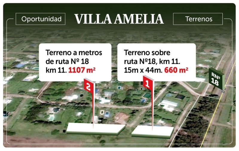 Los Pinos 1 00 - Zorila Constantino - 1