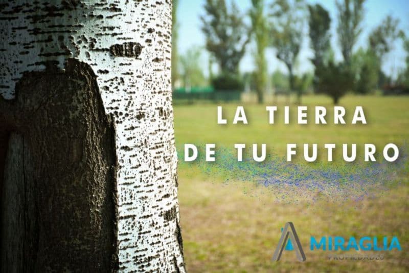 Campos del Oeste - MIRAGLIA PROPIEDADES - 1