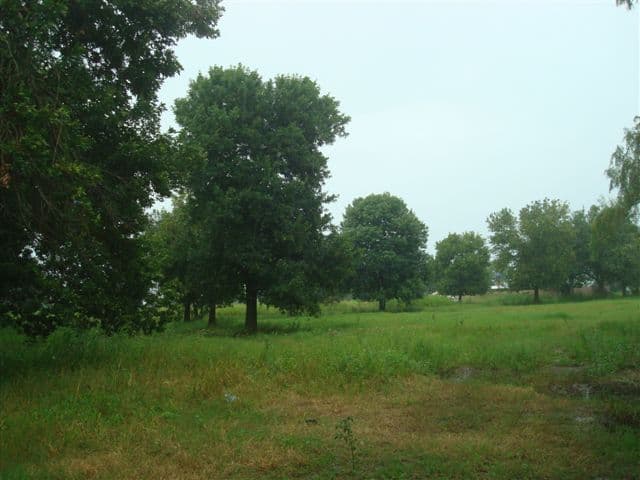 RUTA 14 Km 100 - Banchio Propiedades - 1