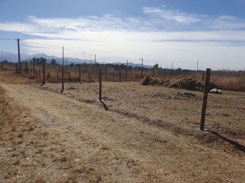 La Carlota 00 - Acres Bienes Raíces - 1