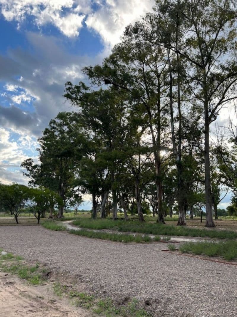 Olmos 360 00 - Acres Bienes Raíces - 1