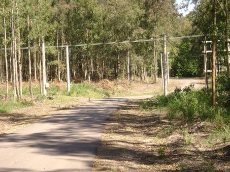 Campo timbo 0000 - Acec Propiedades - 1