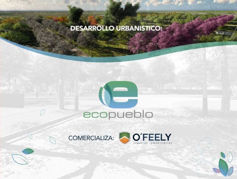 Av. 15 de mayo 00 - O`Feely Negocios Inmobiliarios - 1