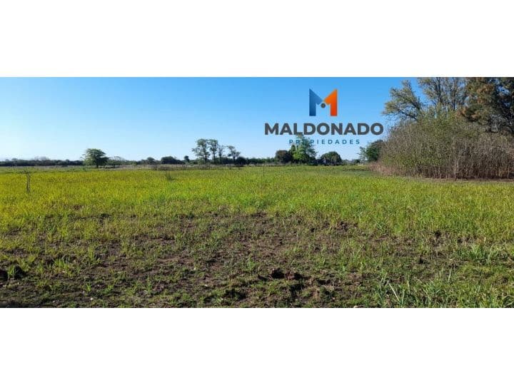 Venta Campo Quinta - 1