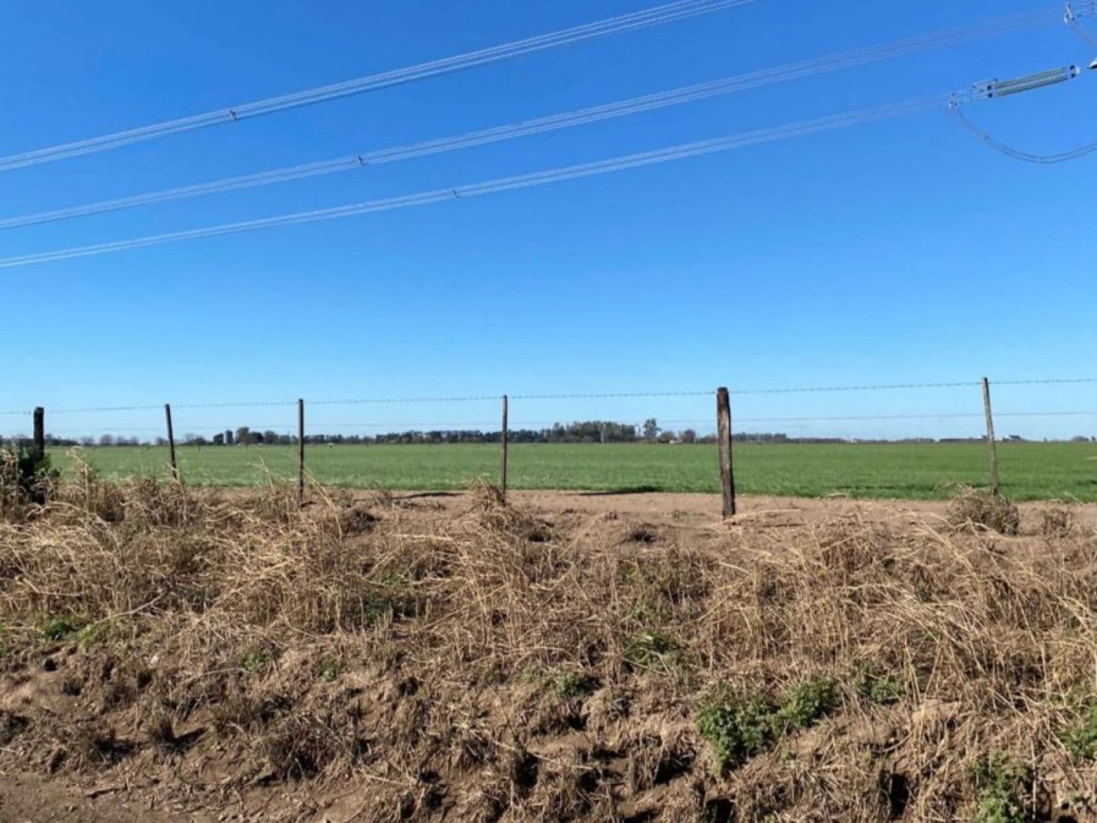 Campo 17.5 Hectáreas Agrícolas/industrial - 1