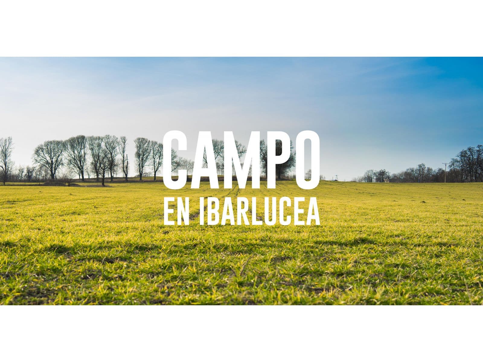Campo 8,5HS en Ibarlucea - 1