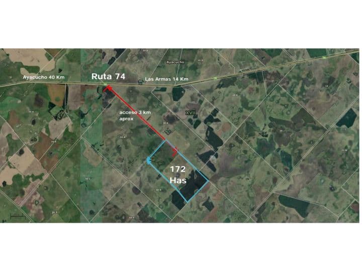 Venta Campo 172 Has  Partido de Ayacucho.  a 3 km de ruta 74 - 1