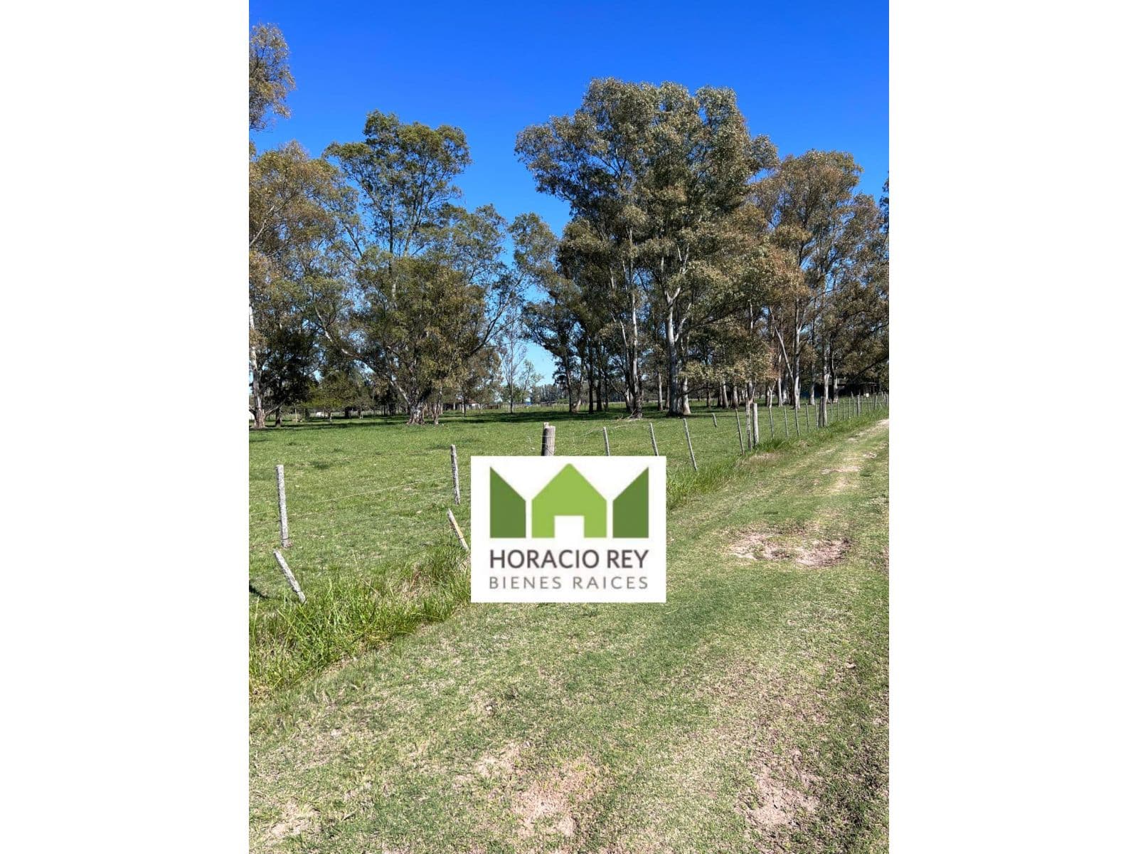 Lote ubicado a 700 metros Ruta 41 - San Miguel del Monte - 1