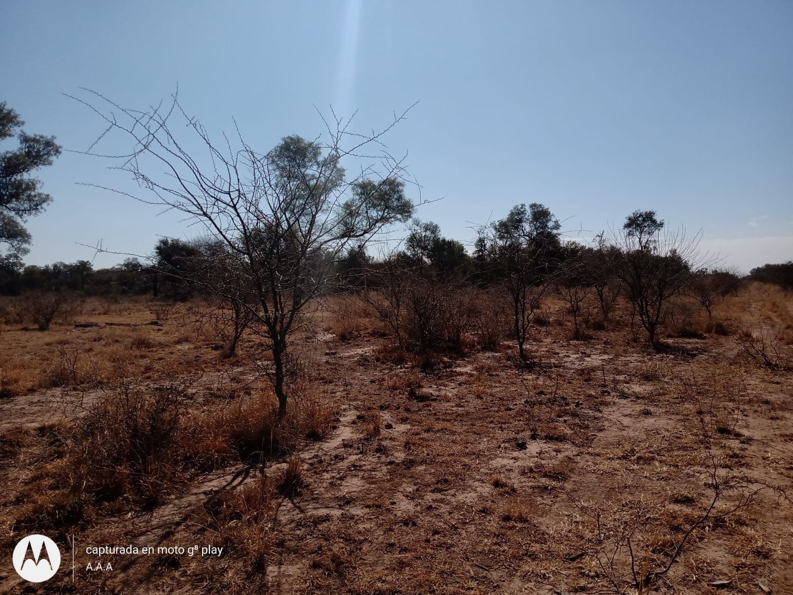 Campo agrícola 11518has, venta. Campo Gallo. Santiago del Estero - 1