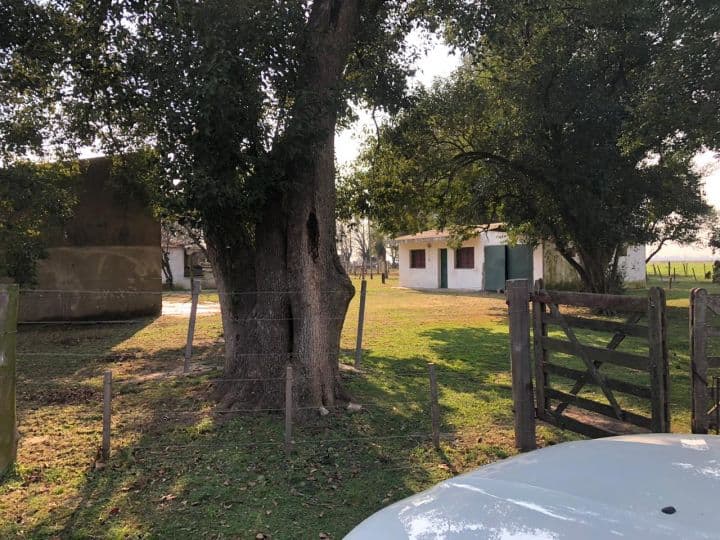 Alquiler Campo  12 hectareas en Ibarlucea - 1