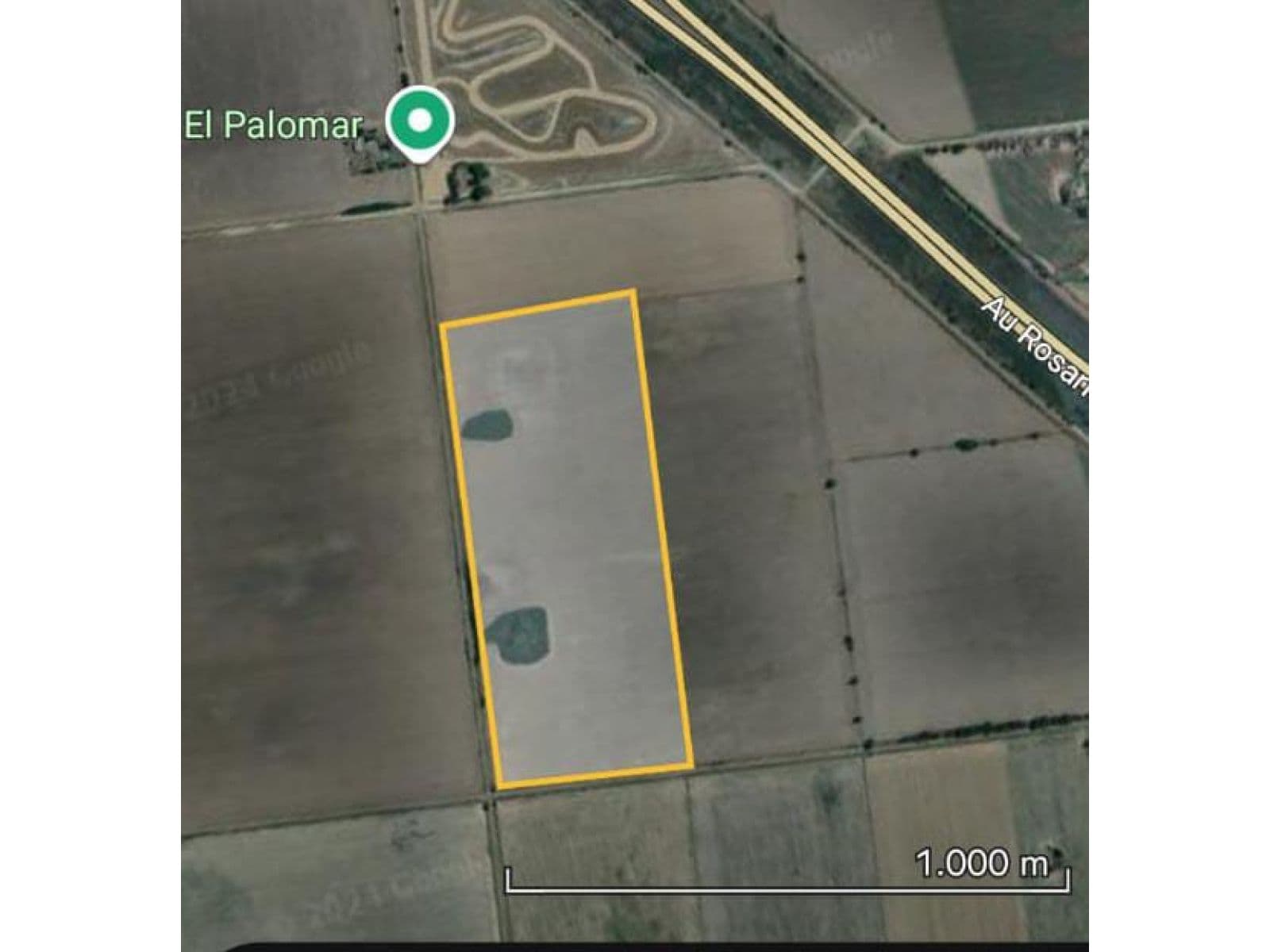 VENTA DE 35 HECTAREAS EN TIMBUES - 1