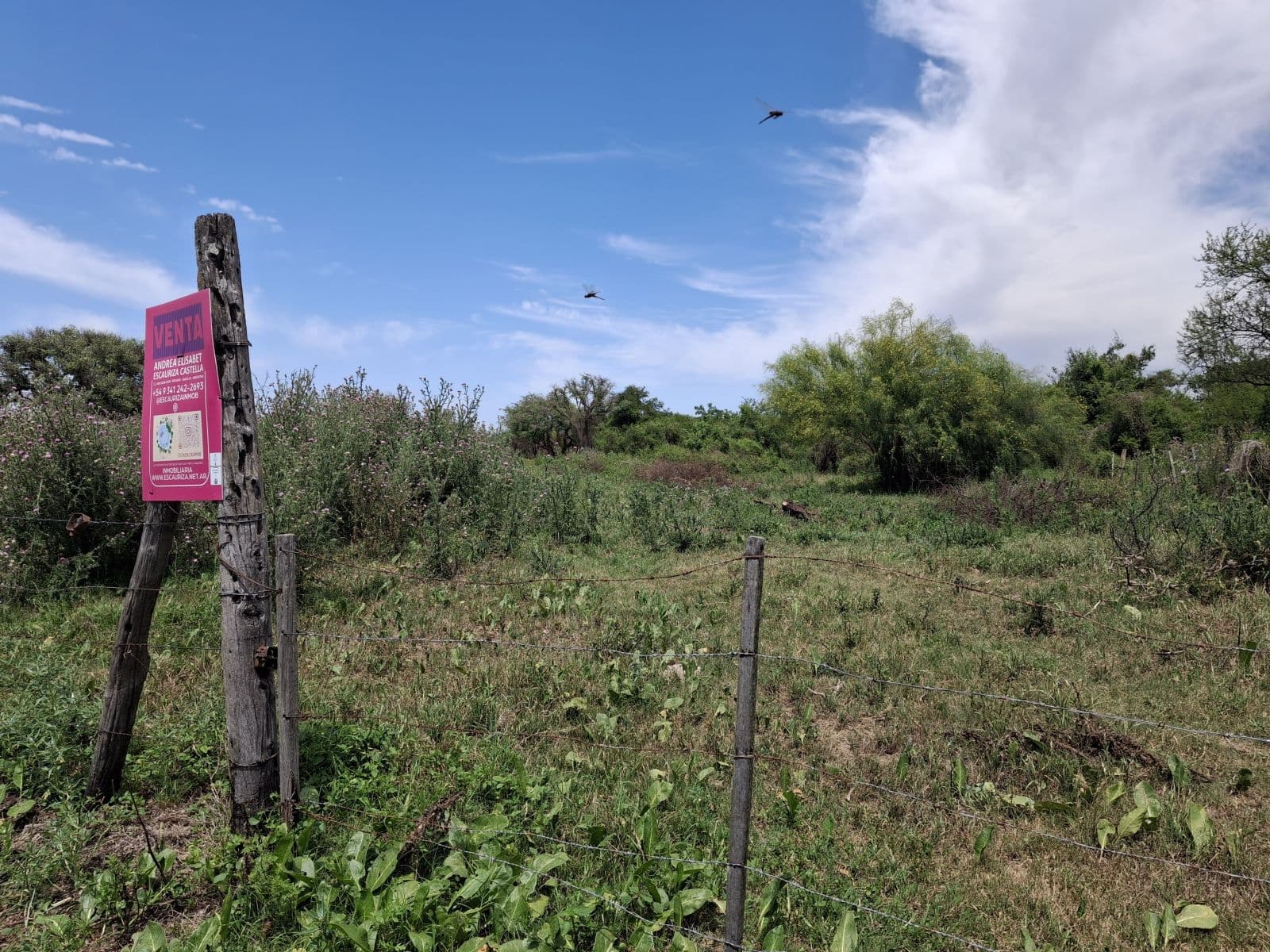 Puerto Aragón, Barrancas: RN11 km 385 - Campo de 15 has Bañado Coronda, mixto con ganaderia, Santa Fe, Argentina - 1