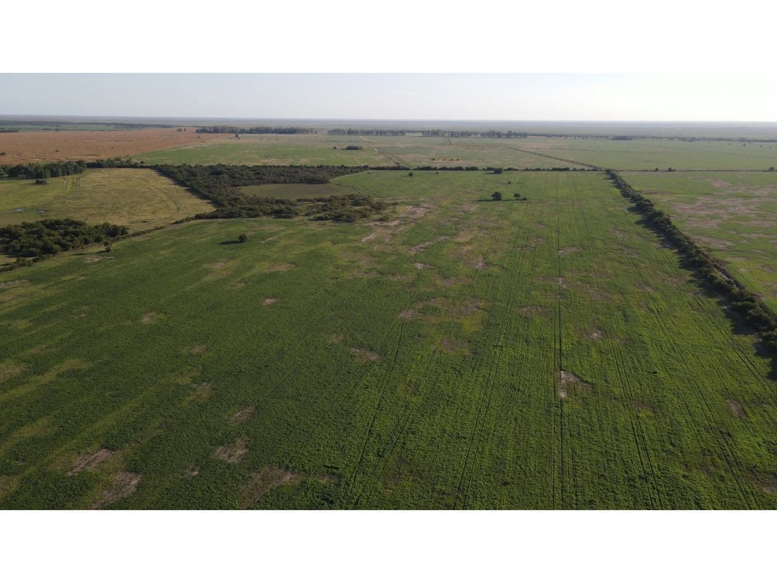 Campo mixto de 198 has, sexto Gualeguay - 1