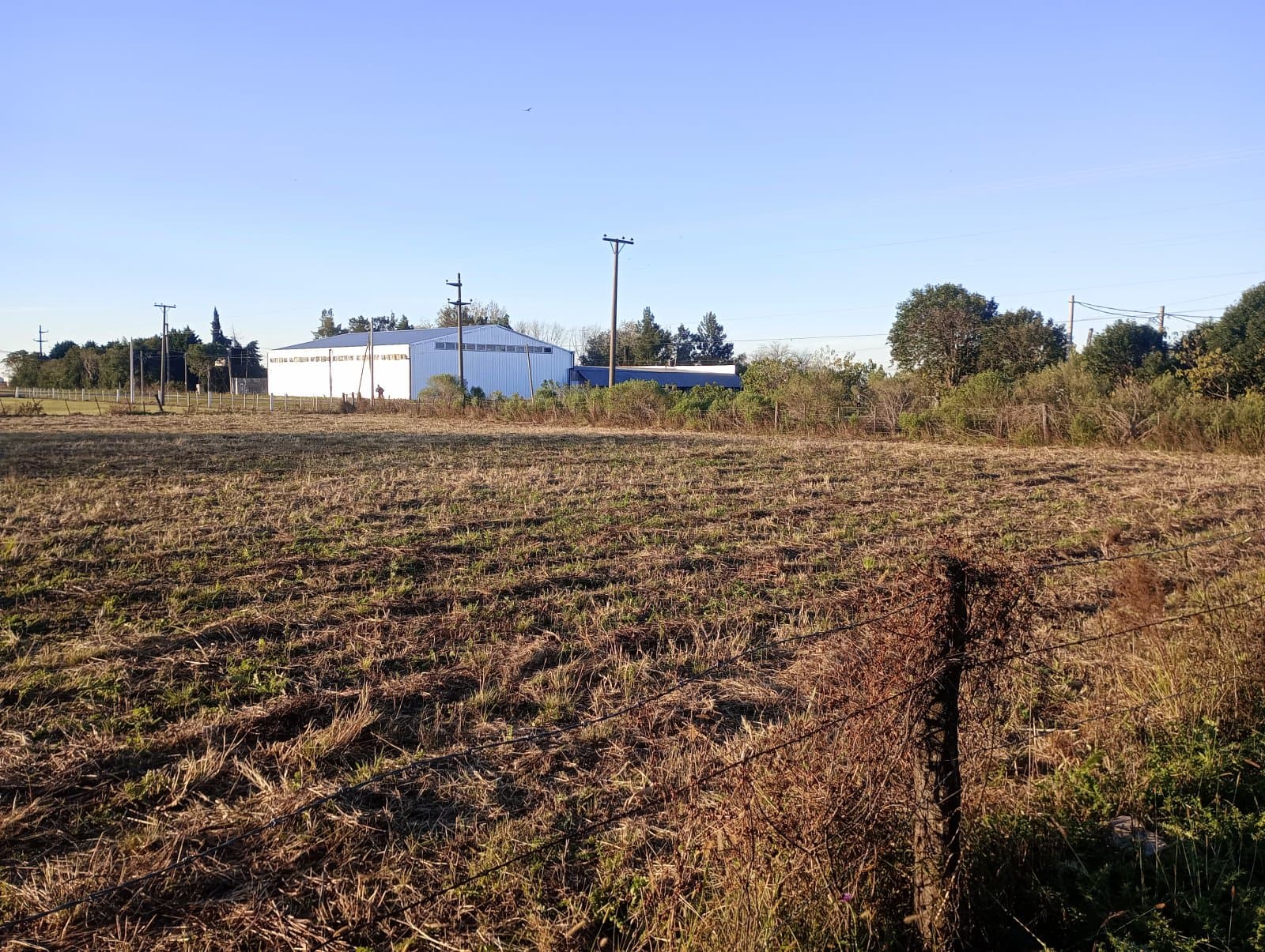 ALQUILA CAMPO EN PÉREZ - 1