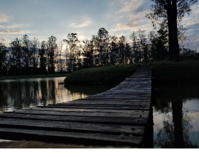 LOTE EN CAMPO TIMBO FINANCIADO CERCADO - 1