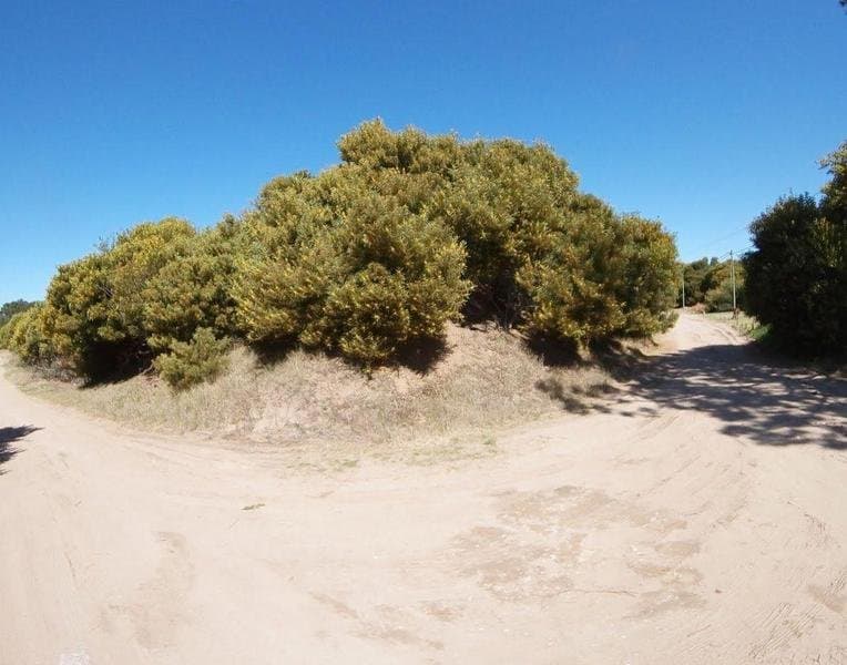 Punta Del Este Y 30 - 1