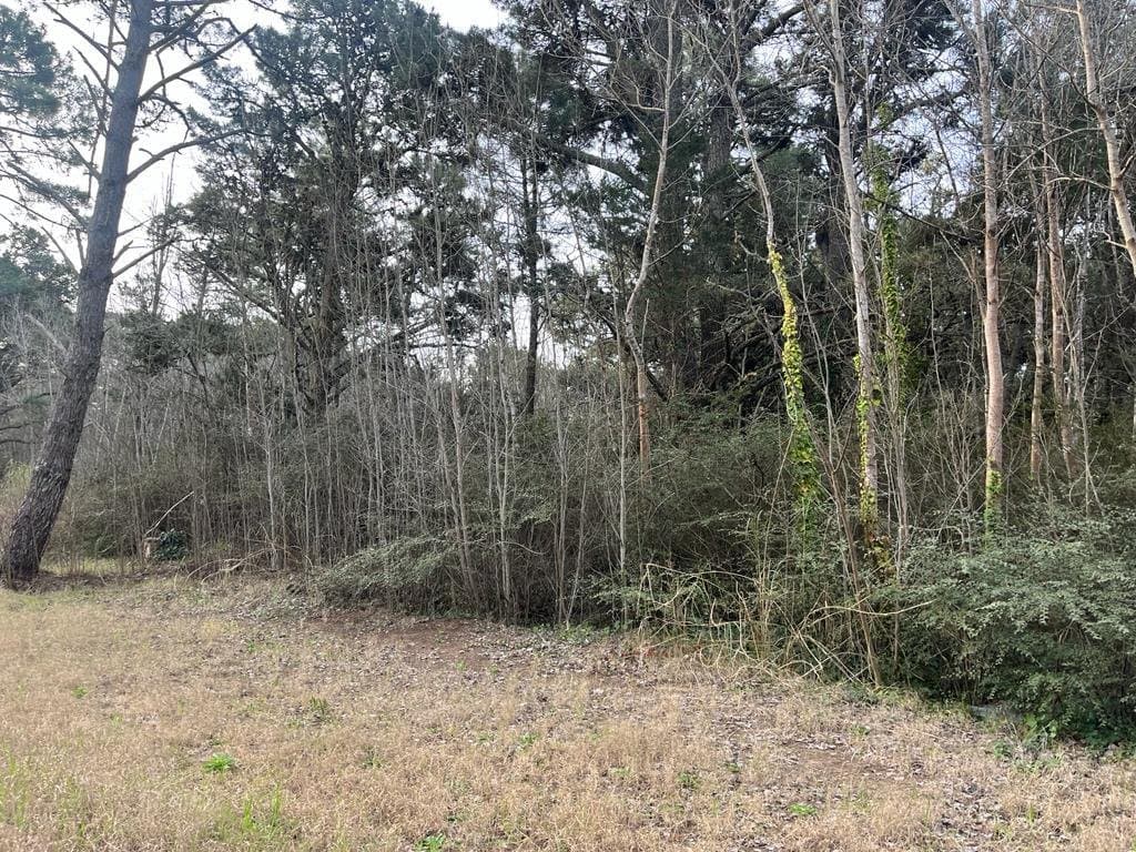 Terreno en venta Carilo, Providencia Entre Atalaya Y Carpintero - 1