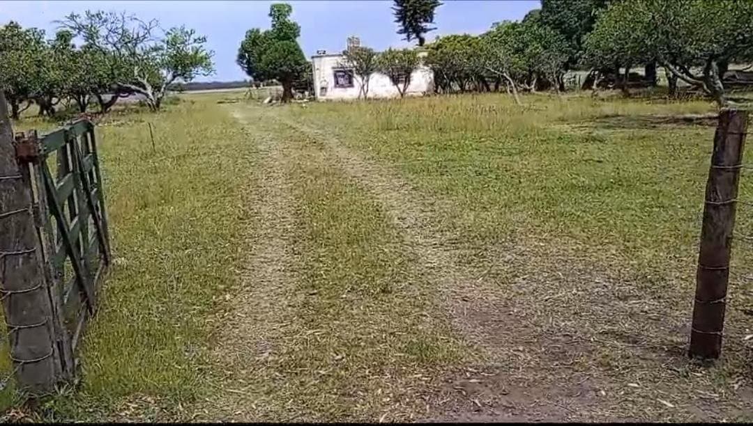 Chacra En Otamendi 2.5 Has. Partido Gral Alvarado - 1