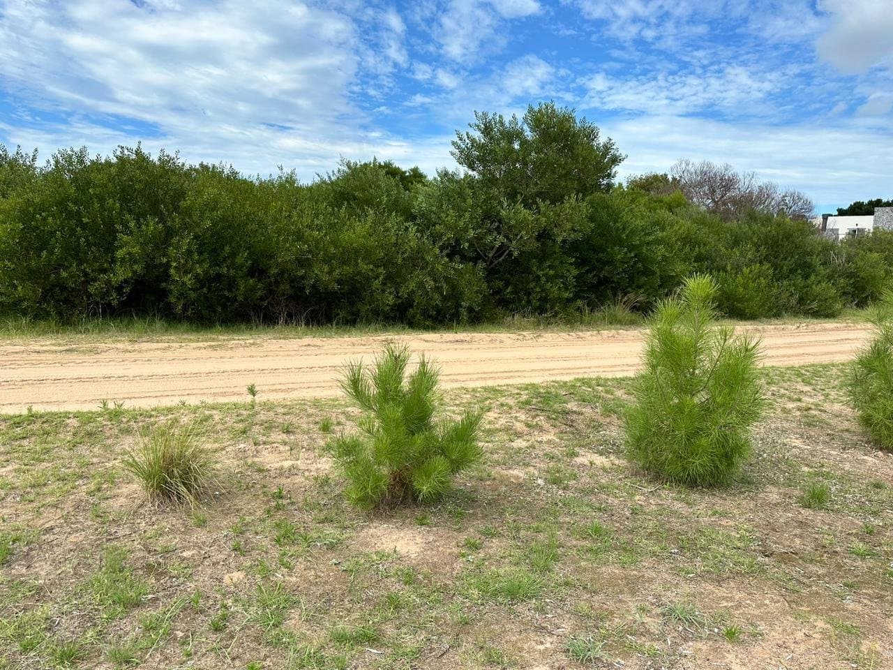 Senderos Iv Lote 363 - 1