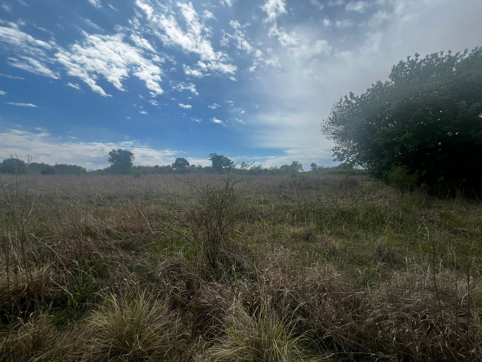 Tres lotes en Zona Golf Villa Allende - 1