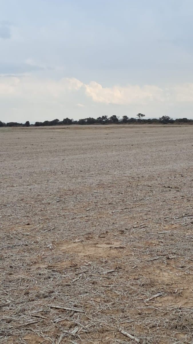 VENTA CAMPO EN LOZADA- CORDOBA - 1