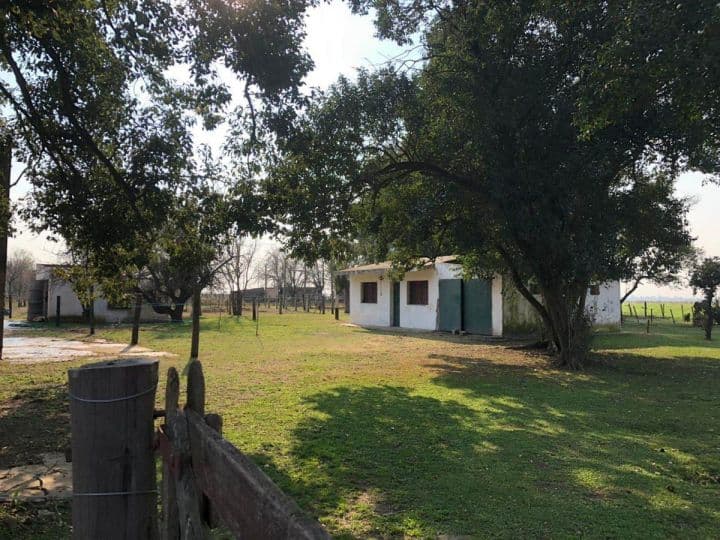 Ibarlucea - 12 Hectareas - 1