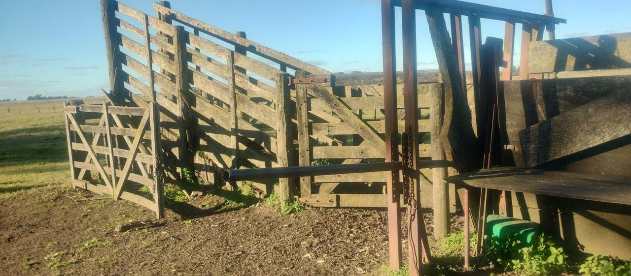 Campo Mixto de 302 hectareas con Casa - 1