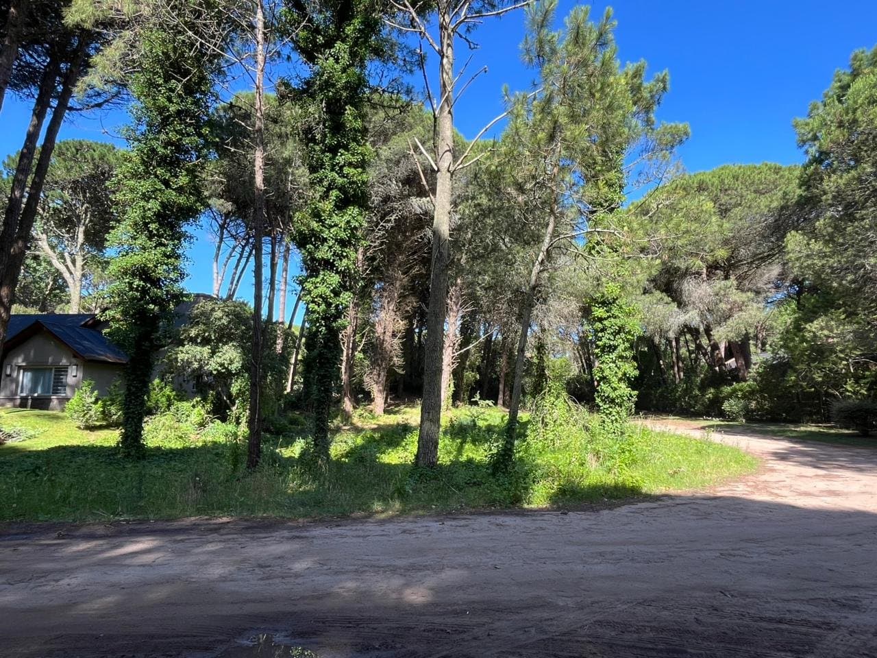 Lote en venta en Carilo, a pocas cuadras del centro, Caoba y Urraca - 1