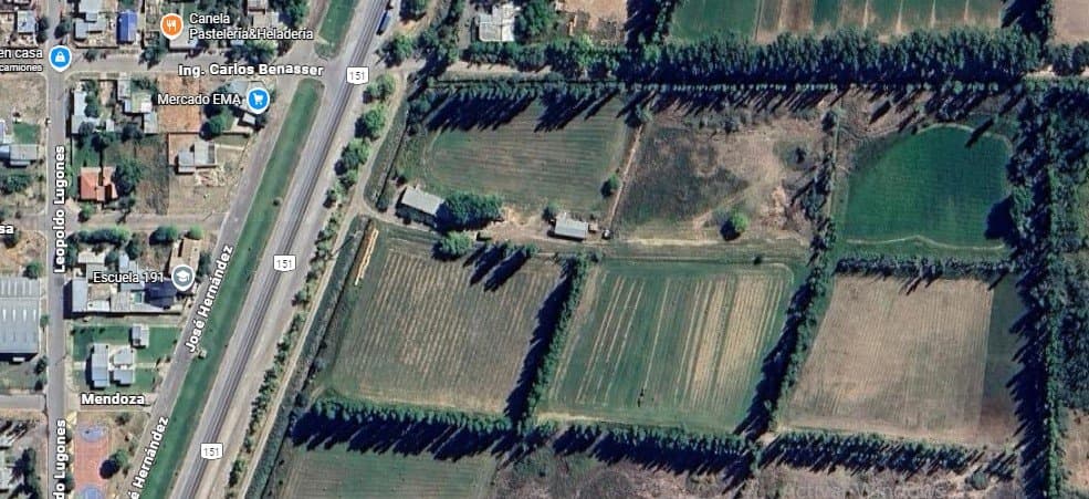 VENDO CHACRA DE 7.4 Has en Sargento Vidal Provincia de Rio Negro, con frente de Ruta Nac 151 - 1