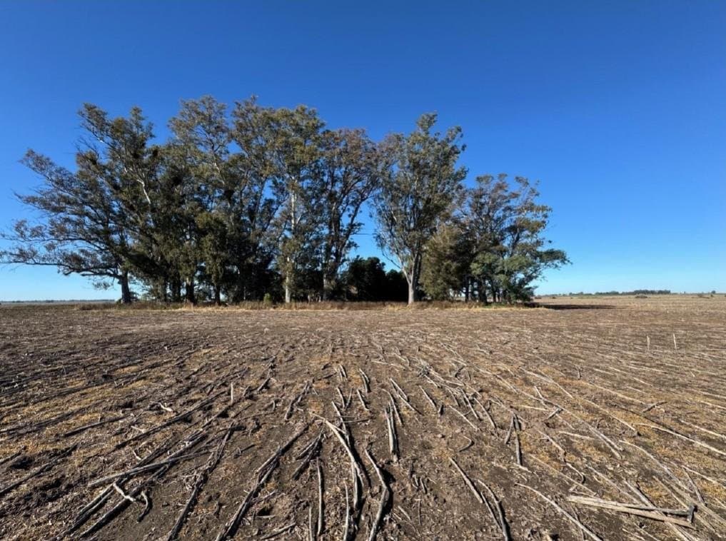 Villa Angelica Estación El Socorro Pergamino - VENTA Campo Agrícola - 1