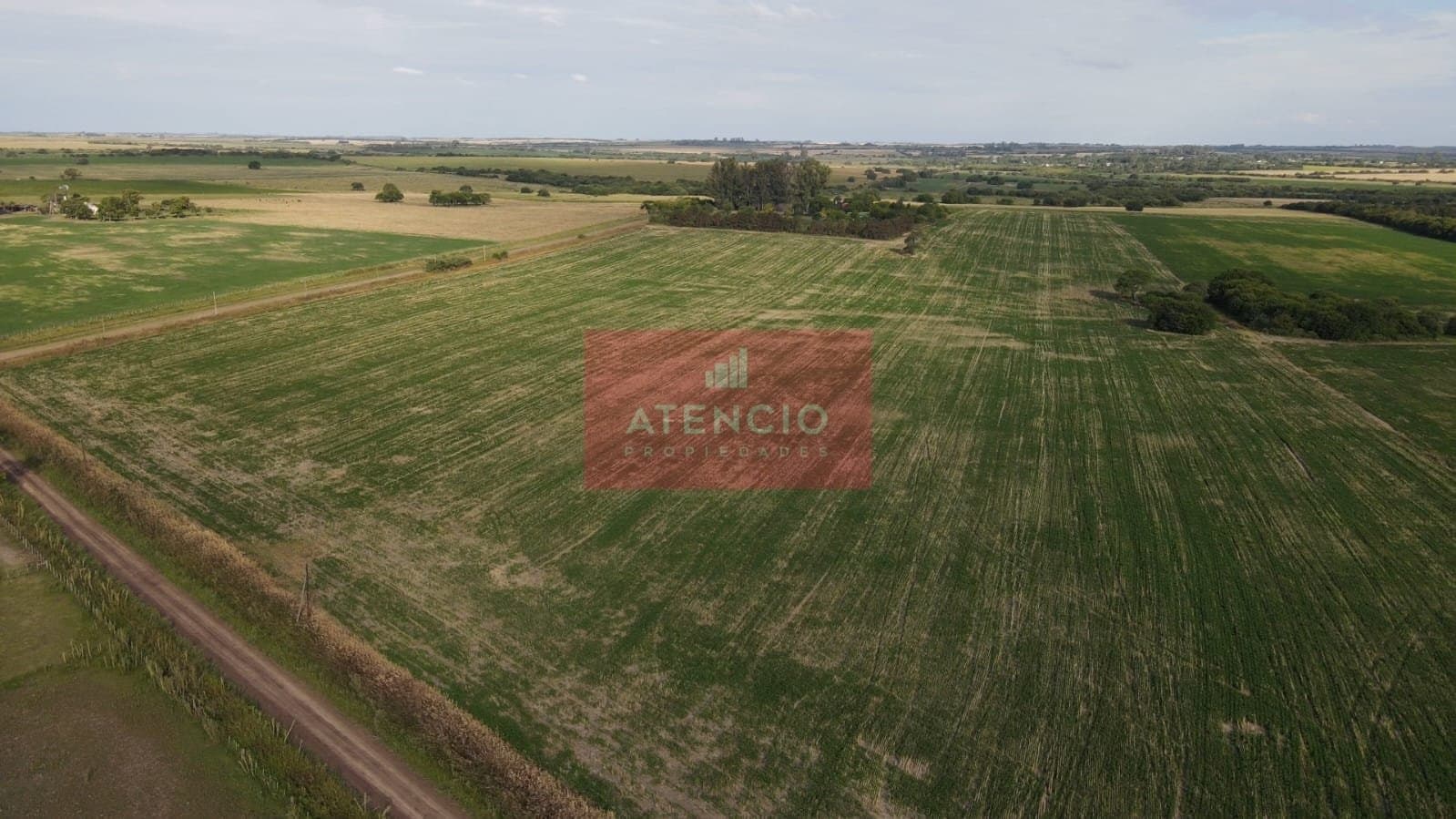 Campo agrícola de 16 hectáreas en Corrales - Proximo a Antelo – Entre Ríos - 1