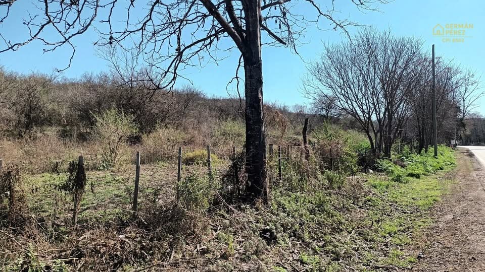 VENDO :1 hectárea camino al pan de azucar !!! ideal proyecto de inversion inmobiliaria. - 1