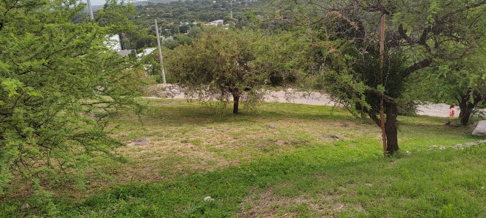 VENDO TERRENO CUMBRES DEL GOLF - 1