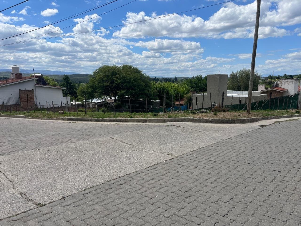 LAS ORQUIDEAS Y LAS VIOLETAS - 1