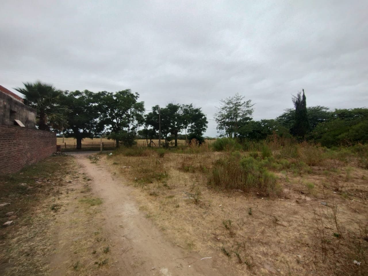 Terreno en San Pedro - Lote 12m x 85m - 1