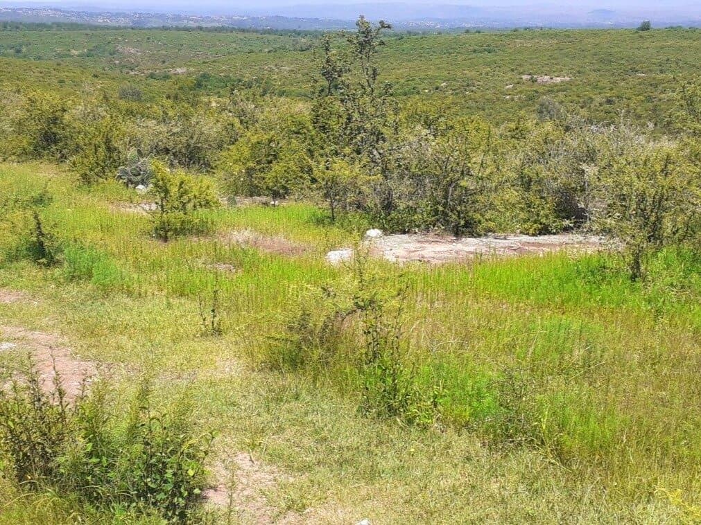 BIALET MASSE 31,5 HA - 1