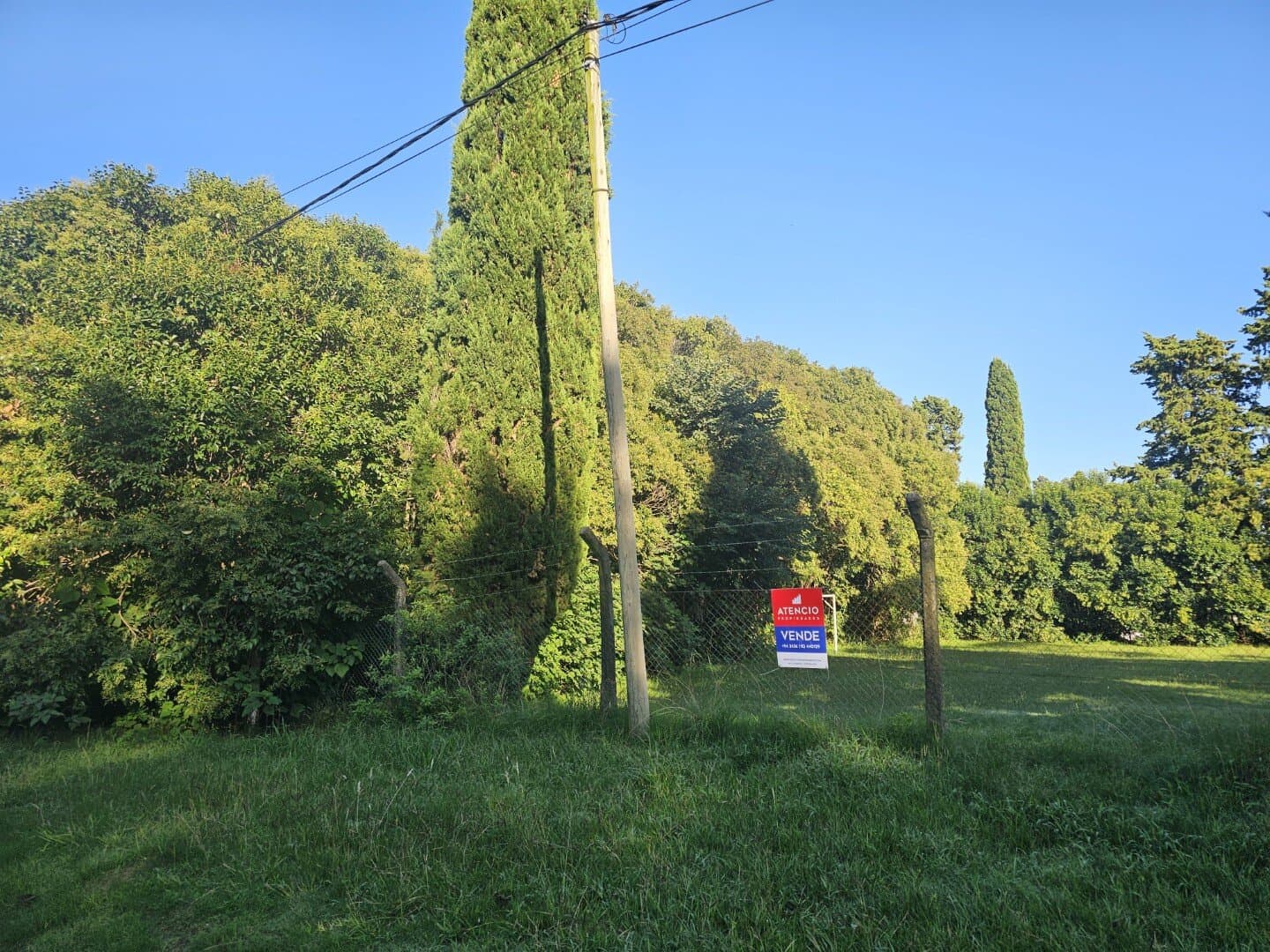 Terreno COMPLETAMENTE arbolado, 1.000 m2 en zona quintas - UNICO - 1