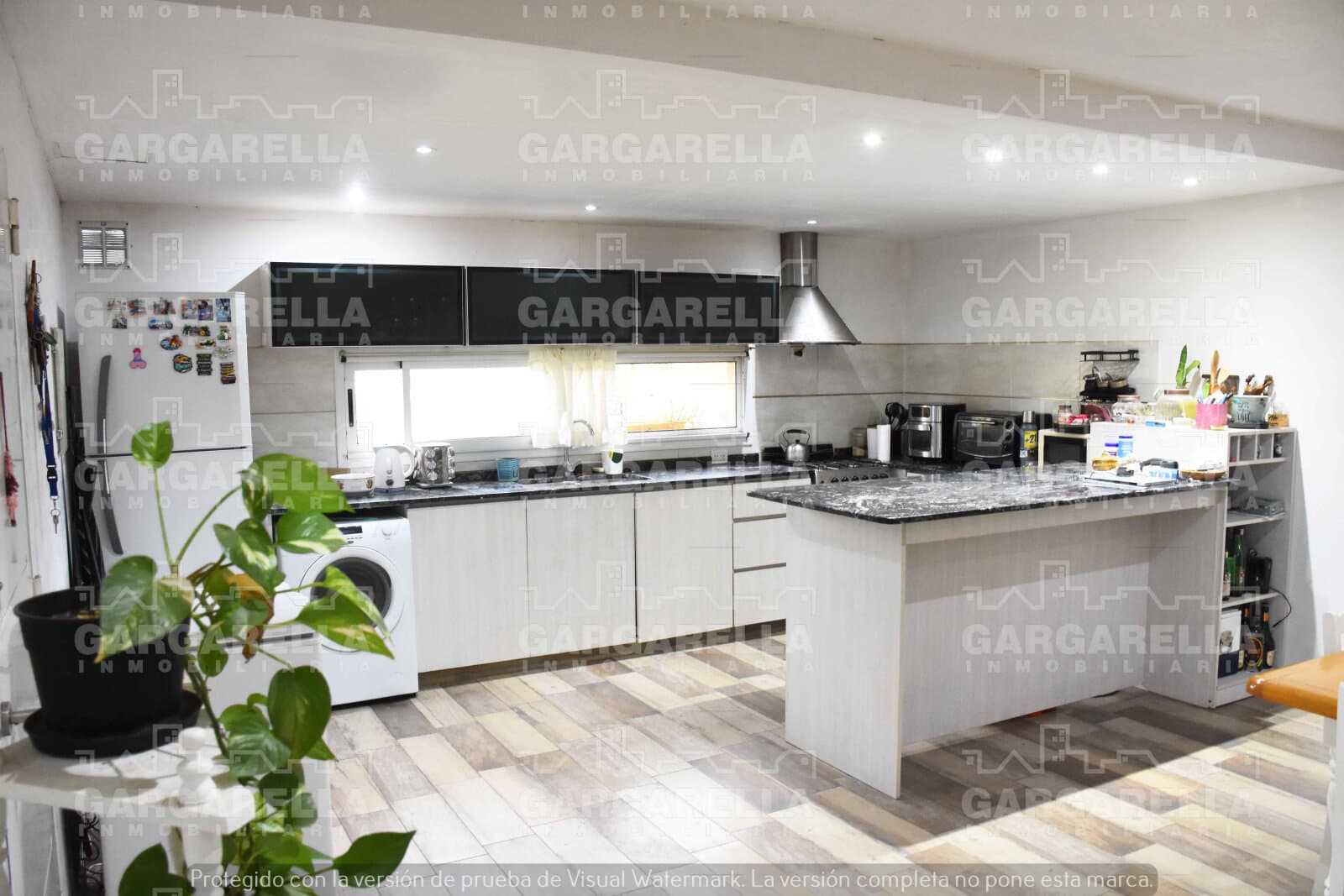 LAS CASUARINAS - IBARLUCEA - LOS PUMAS 316 - LOTE 54 - 1