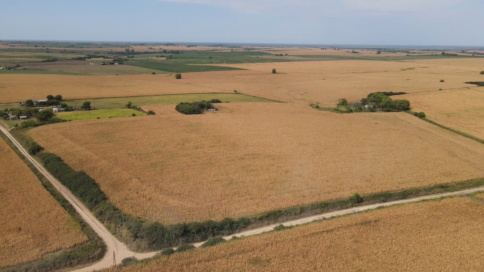 Campo en Rincon del Doll - 20,5 has con casa y mejoras - 1