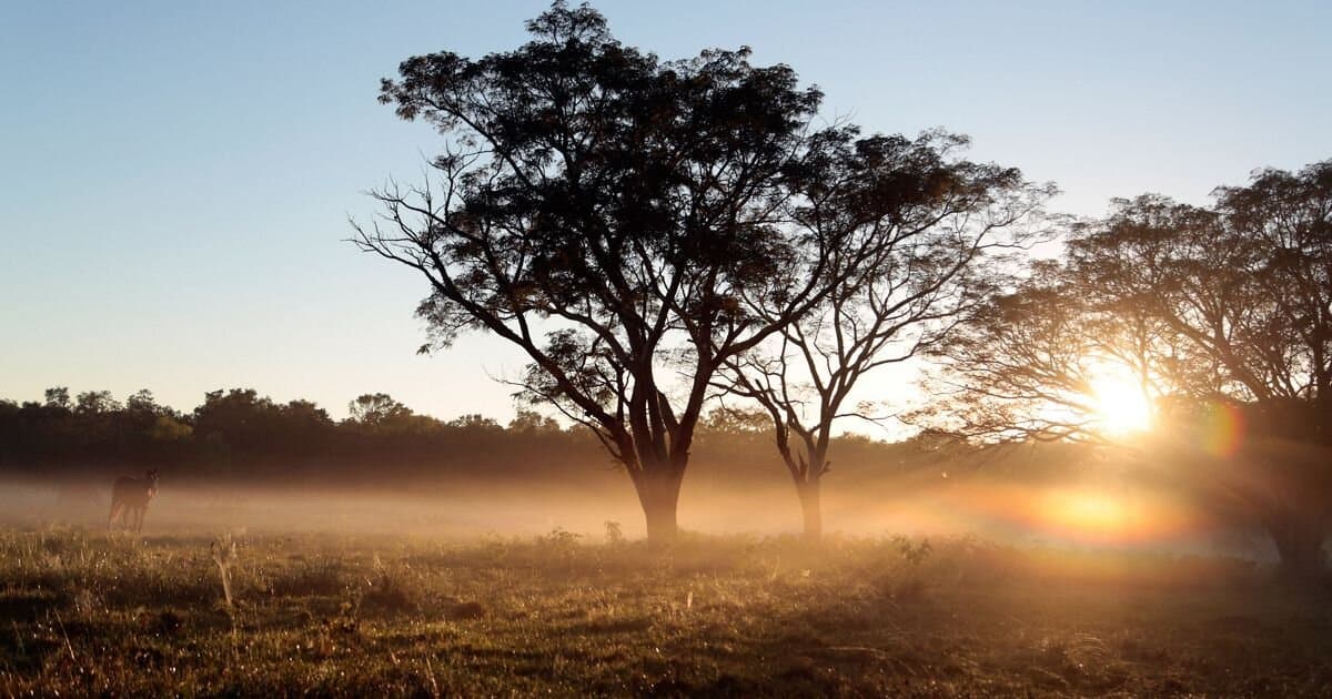 GRAN CHACO 8000 HA - 1