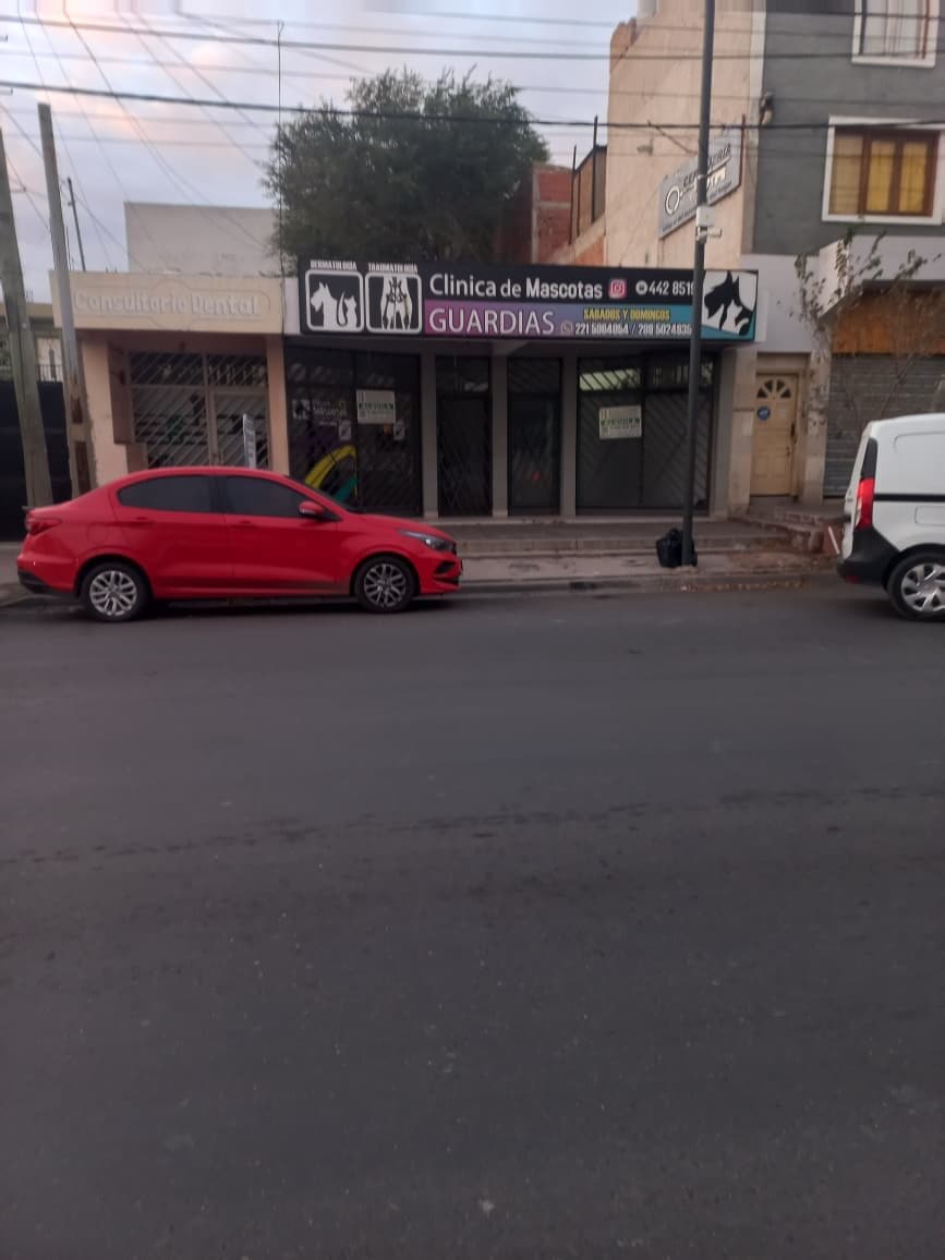 DOS SALONES COMUNICADOS CON PATIO EN CALLE BELGRANO-NQN - 1