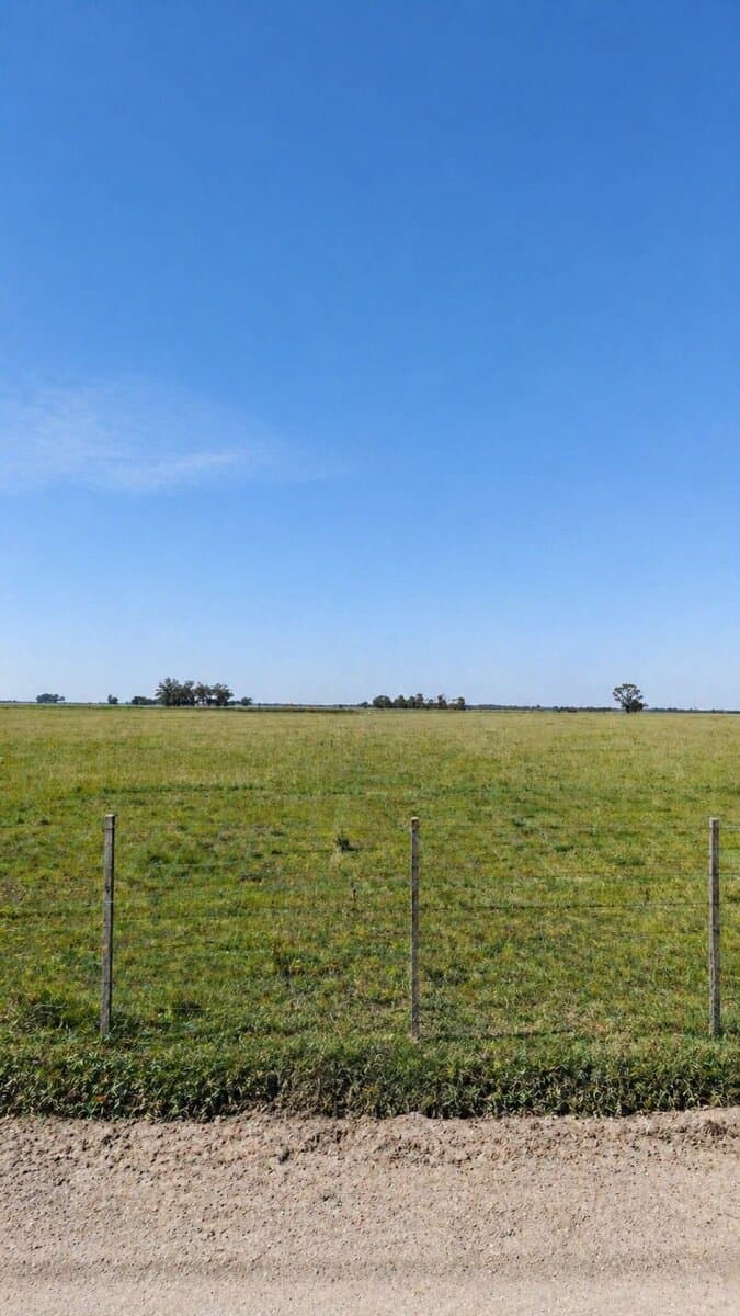 Lote de 5 ha a metros de calle España - 1