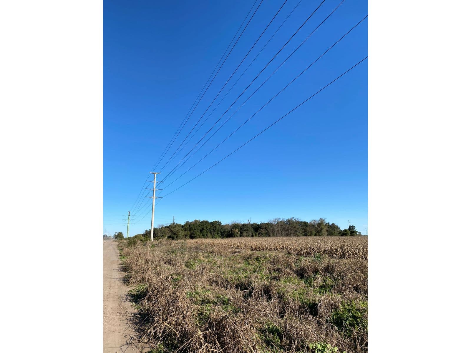 Campo agropecuario/ zona Industrial de 33ha cercana a puertos cerealeros de Timbúes - 1